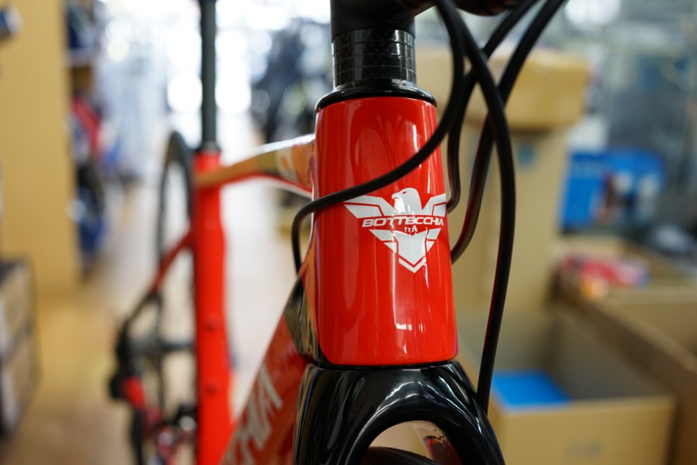 税込】 CYCLE PARADISEジャンク ボッテキア BOTTECCHIA オタッビオ レボ 8AVIO REV フレームセット 2019  51サイズ カーボン